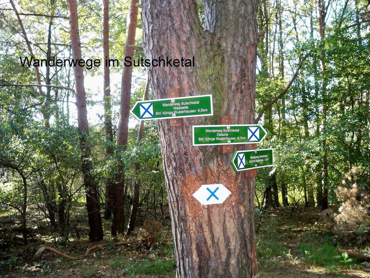 Ferienappartements Am Weinberg Bestensee Luaran gambar
