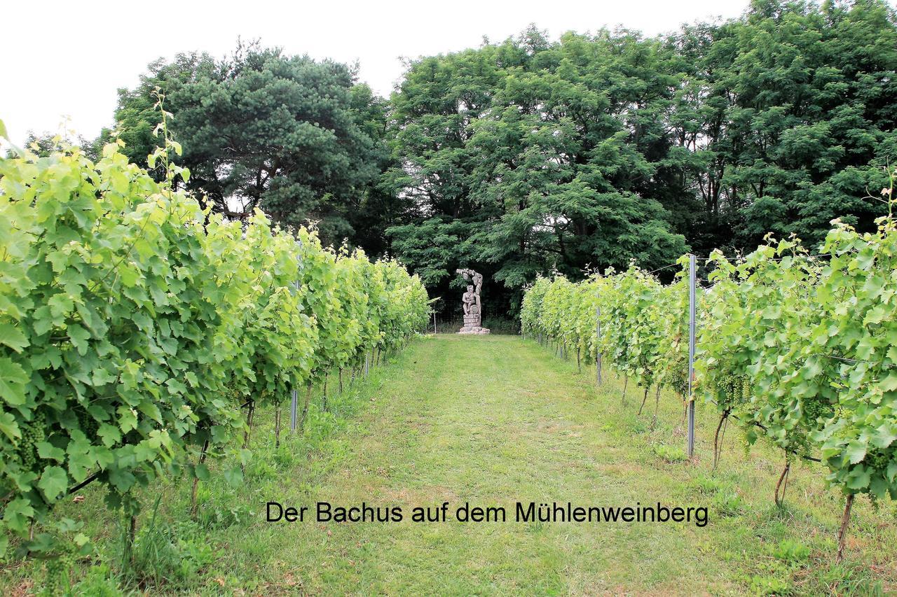 Ferienappartements Am Weinberg Bestensee Luaran gambar